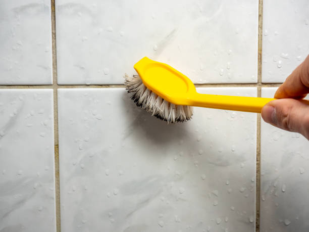 Best Affordable Mold Removal  in Triana, AL