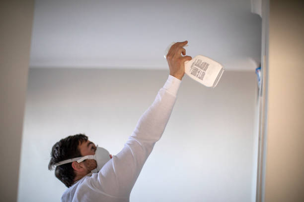 Best Same-Day Mold Removal  in Triana, AL